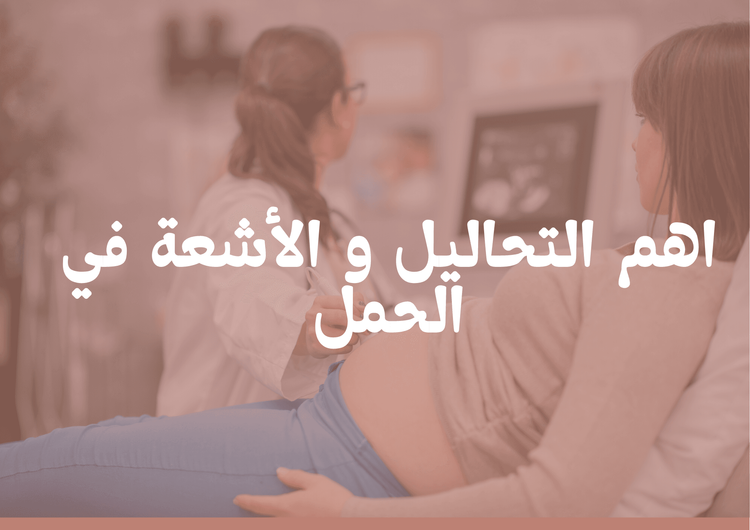 اهم التحاليل و الأشعة في الحمل