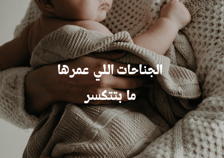 الجناحات اللي عمرها ما بتتكسر